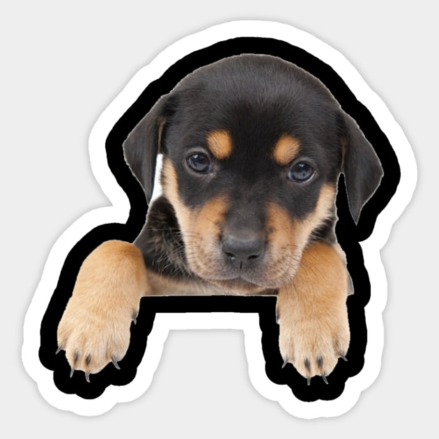 Pooch In My Pocket: Cute Puppy Sticker by cameradog